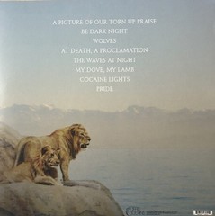 Phosphorescent – Pride (LP, Album) (Mint (M)) – 3982464067