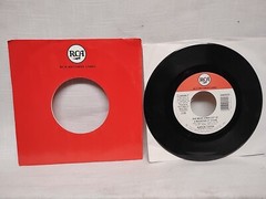 Aaron Tippin Everything I Own 45 RPM RCA Records Label 64544-7 1996