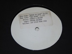 PARKERS & WELSON – House of pain – UK 2-track 12″ vinyl single – DJ PROMO