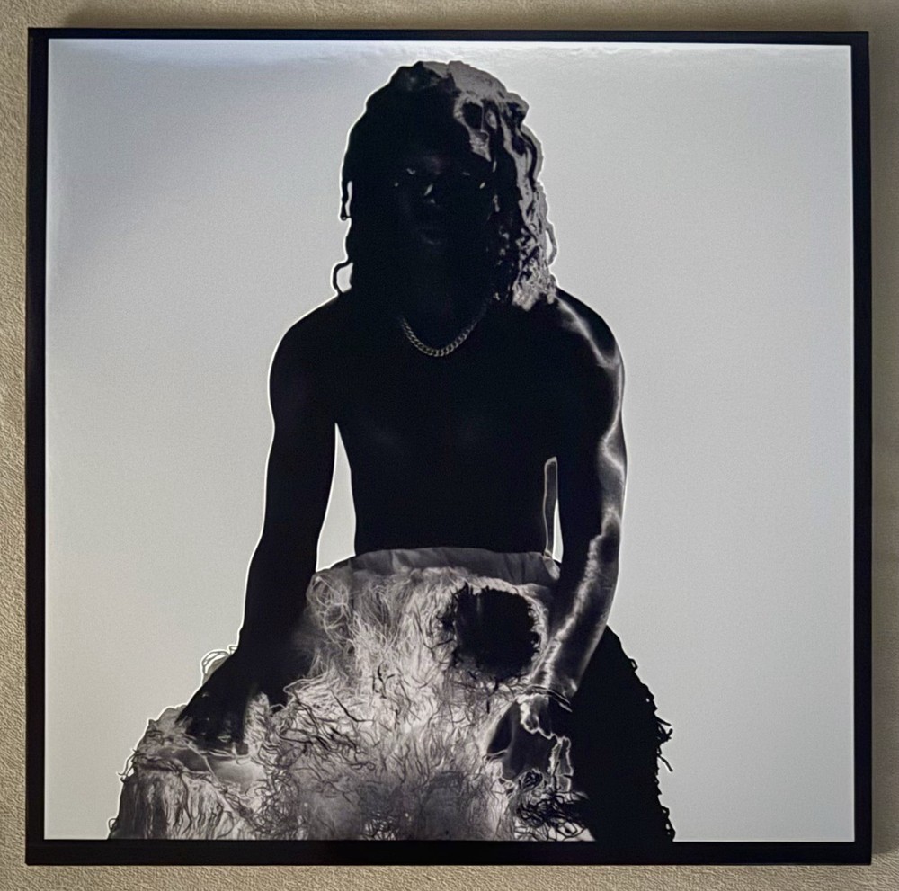 Mavi Shadowbox Vinyl Marble Edition Metallic Jacket W/ Flexi Disc NEW /300