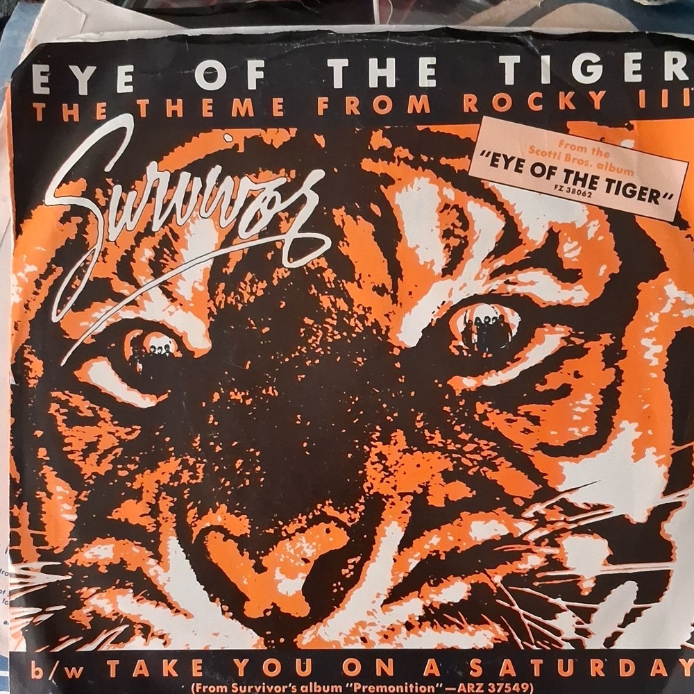 Survivor Eye of the Tiger Vinyl 7″ Single Scotti Brothers Rock 45 RPM Stereo
