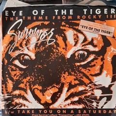 Survivor Eye of the Tiger Vinyl 7″ Single Scotti Brothers Rock 45 RPM Stereo
