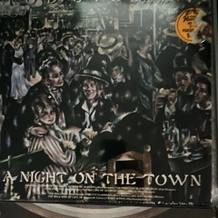 Rod Stewart A Night on the Town Warner Bros. Vinyl LP Rock Cardboard Sleeve