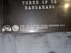 Rotting Out – The Wrong Way 12″ Vinyl Record (Pure Noise, PNE140, 2013) SEALED