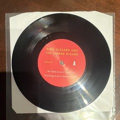 KG&LW Teenage Gizzard We Are Busy Bodies Pink Swirl Vinyl W/ Hidden 7” /1000