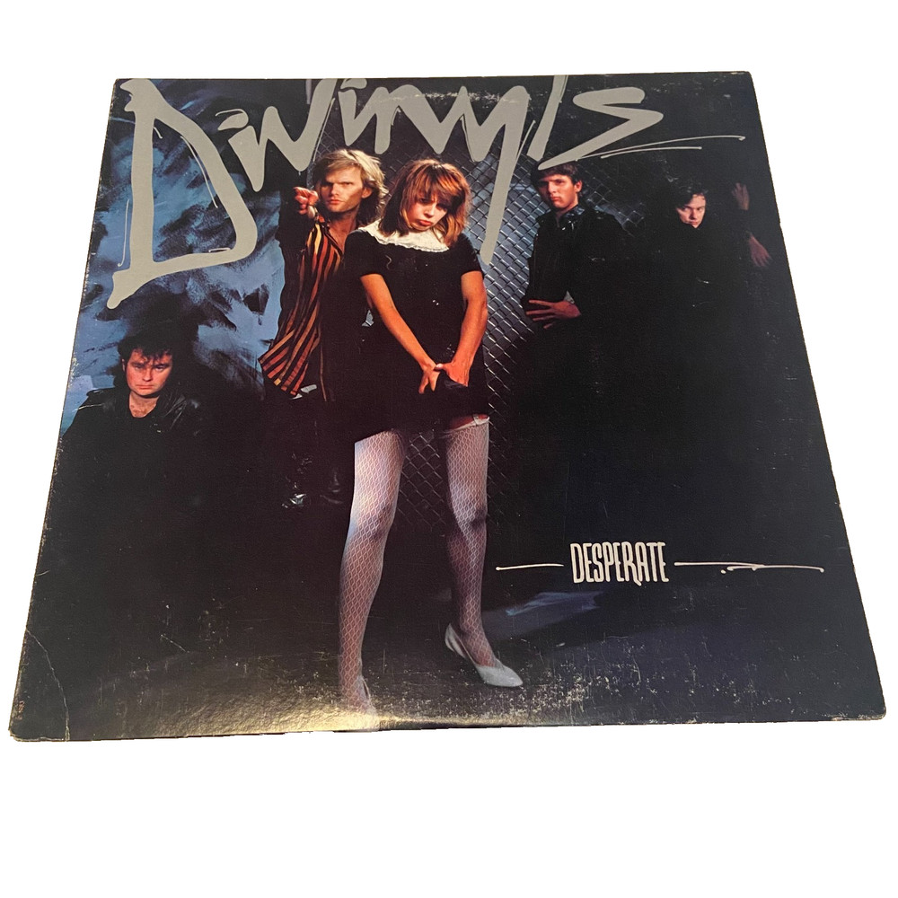 Divinyls Desperate Vinyl LP BFV 41404 Chrysalis Records