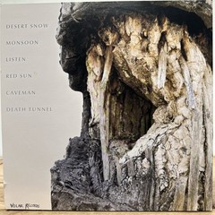 LP: DESTRUCTION UNIT – Sonoran Vinyl Record Volar PSYCH PUNK Used
