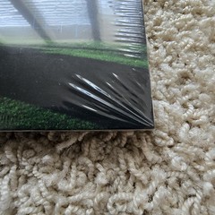 Armor For Sleep What To Do When You Are Dead Transparent Green Vinyl New /500