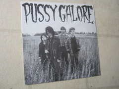 PUSSY GALORE “GROOVY HATE….” NEW/SEALED GARAGE/NOISE/PUNK 2013 RSD MINI LP