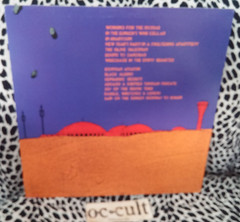 MEN’S RECOVERY PROJECT LP BOLIDES OVER BASRA RARE HARDCORE NOISE PUNK OCCULT