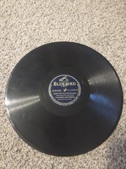 10 Mixed BlueBird Vinyl Records