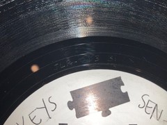 Sen-Sei/David Coleman/Ivan-I/Starchild Dub Theory Teque Remix Vinyl TEST PRESS