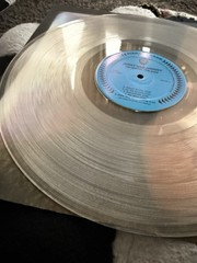 Jenny And Johnny, I’m Having Fun Now Warner Bros Clear Vinyl Rare Record see