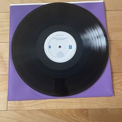 Look Blue Go Purple Vinyl LP Still Bewitched Flying Nun Records
