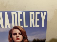 Lana Del Rey Born to Die 12″ Black Vinyl LP Pop Interscope Cardboard Sleeve