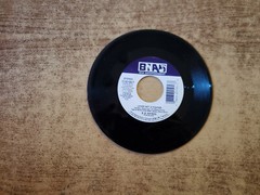 1990S MINT-EXC B.B. Watson – Lover Not A Fighter/BOTTLE OF WHISKEY 62195 45