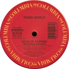 Third World – Sense Of Purpose (12″, Single) (Very Good Plus (VG+))