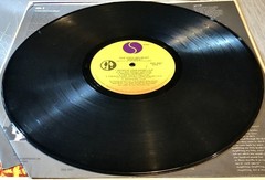 THE ENGLISH BEAT : LOT OF 3 : VINYL LP : SPECIAL•WHA’PPEN?•I JUST CAN’T STOP IT