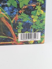 JHENE AIKO Trip 2026 Record Store Day 2LP Picture Disc Vinyl New Sealed RSD