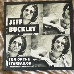Jeff Buckley Son of the Starsailor 12″ Black Vinyl Double LP Parachute Rock