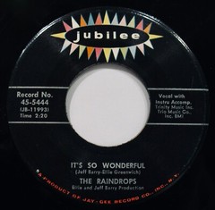 THE RAINDROPS~What A Guy & It’s So Wonderful~1963 Rock 45 ✦ JUBILEE #5444