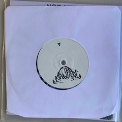 STOLEN GUN 7 inch Vinyl Record Black White Splatter Limited Edition