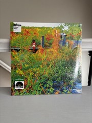 JHENE AIKO Trip 2026 Record Store Day 2LP Picture Disc Vinyl New Sealed RSD