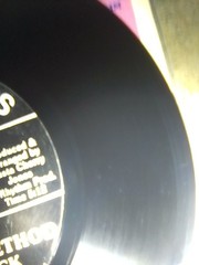 COLLECTOR’S – The Rhythm Method 45 RPM Alligator’s Have Fun , Rockin Shack MInt