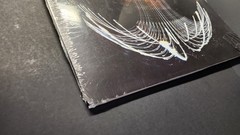 Pearl Jam – Dark Matter 2xLP On Vinyl Grunge Alternative Rock Eddie Vedder
