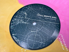 Small Brown Bike Dead Reckoning No Idea Records 111 Yellow & Pink Vinyl LP Album