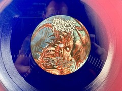 Abominable Putridity-The Anomalies Of Artificial Origin RARE SPLATTER VINYL 2015