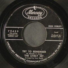 LIVELY SET: dippity-do / try to remember MERCURY 7″ Single 45 RPM