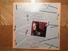 ELEKTRA LP RECORD 6E 184/JERRY LEE LEWIS/ ST/ 1979 ROCK N ROLL/JAMES BURTON/EX