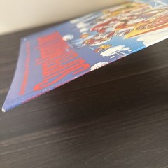 RARE 1992 Super Mario Land Vinyl 12” Mexico Press La Tierra De Super Mario VG+