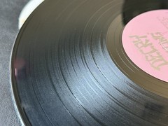 Decry “Falling” Toxic Shock – Original Press – Hardcore LP 1985