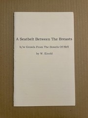 WES EISOLD A Seatbelt Between the Breasts Zine – COLD CAVE – AMERICAN NIGHTMARE