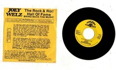 Rock N Roll Hall of Fame by Joey Welz (45 RPM) Bill Haley & the Comets