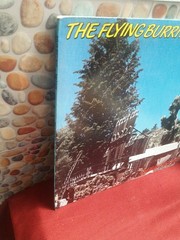 The Flying Burrito Bros. Cabin Fever Vg+- NM Relix Records Vinyl LP Original