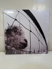 Pearl Jam – VS. – Sealed – 2011 – Reissue – Gatefold – Mint Condition
