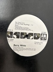 Barry White For Your Love (I’ll Do Most Anything) LP 45 PROMO Record 1987