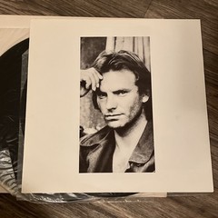 Vintage 1987 Sting Nothing Like The Sun Vinyl 2LP AFM Pop Rock Record Album