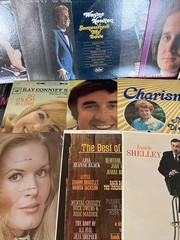 Large Lot of Vintage LP Vinyl Records Assorted Artists, Lot of #20
