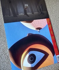 Geese Vinyl Bundle 3D Country Projector Cameron Winter