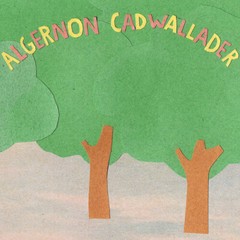Some Kind of Cadwallader by Algernon Cadwallader (Record, 2019)