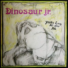 Dinosaur Jr – You’re Living All Over Me (Revinyl Edition) [Random Colored Vinyl]