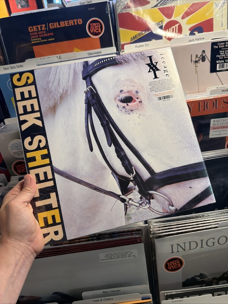 Iceage – Seek Shelter LP On Orange Translucent Vinyl Post-Punk Rock