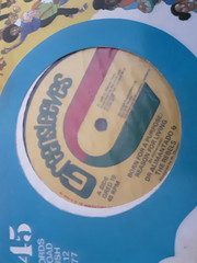 DOC ALIMANTADO/SKINHEAD REGGAE/GREENSLEEVES 12 / BORN FOR A PURPOSE