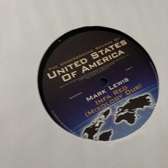 Various – The Underground Sounds Of United States Of America (2×12″)