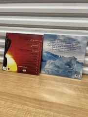 TINK Vinyl Bundle – Winter’s Diary 5 & Heat of the Moment (Sealed LPs)