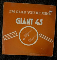 Davis Import – I’m Glad You’re Mine 12” Disco Mix AVI Records 1978